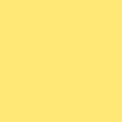 Passepartout dimensioni interne su misura 40x50 cm | giallo sole