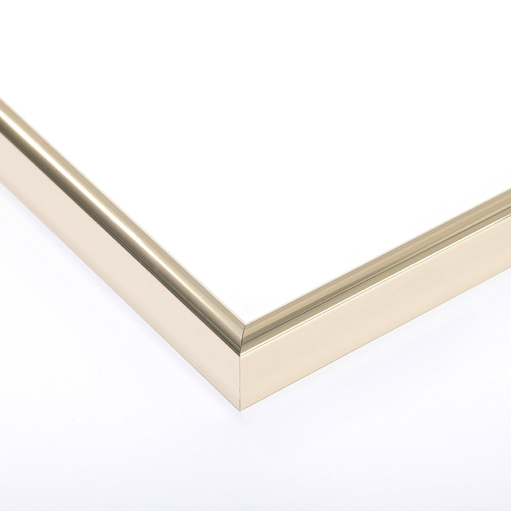 Cornice in alluminio profilo R 21x29,7 cm (A4) | dorato | Vetro standard